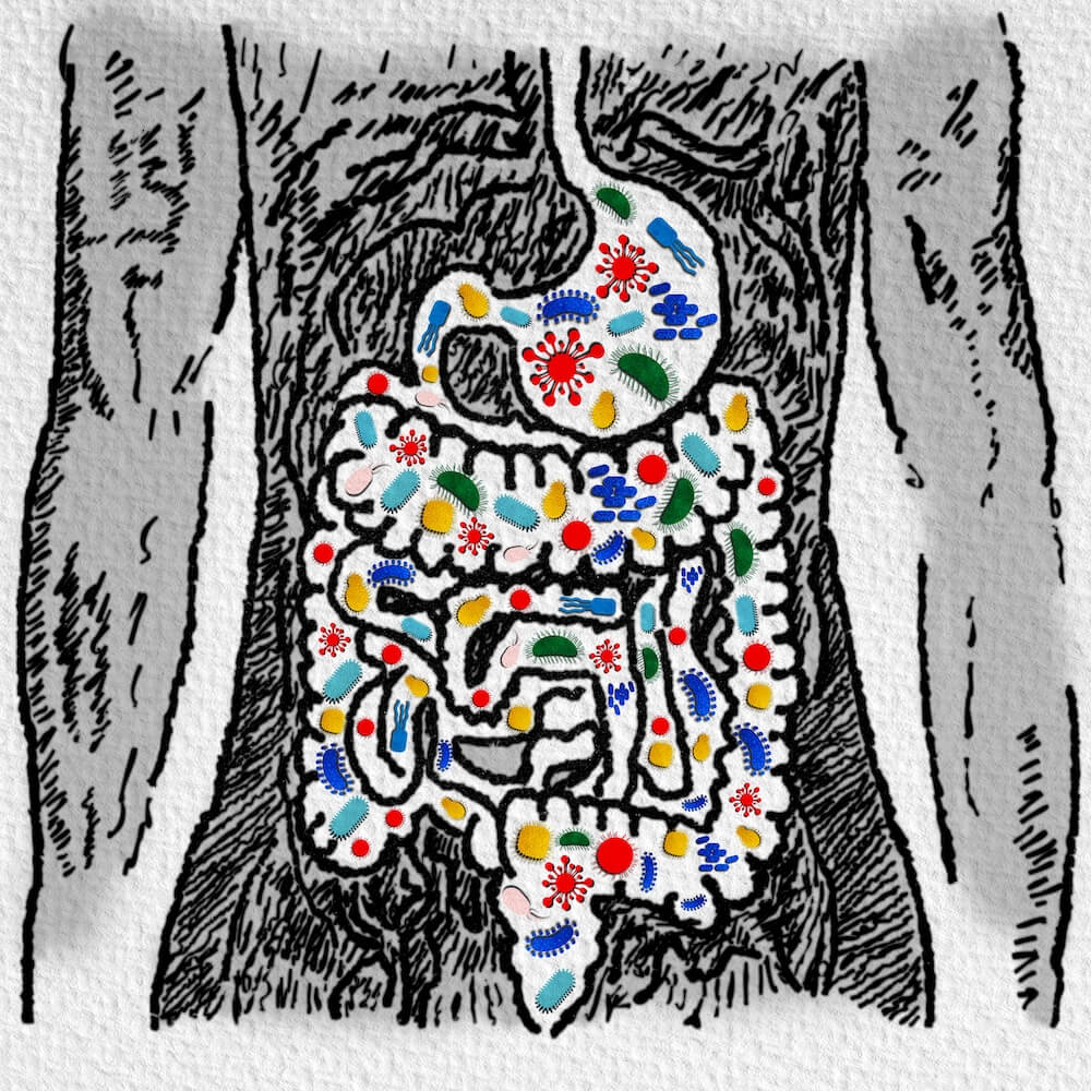 4 Ways to Reduce Gut Inflammation